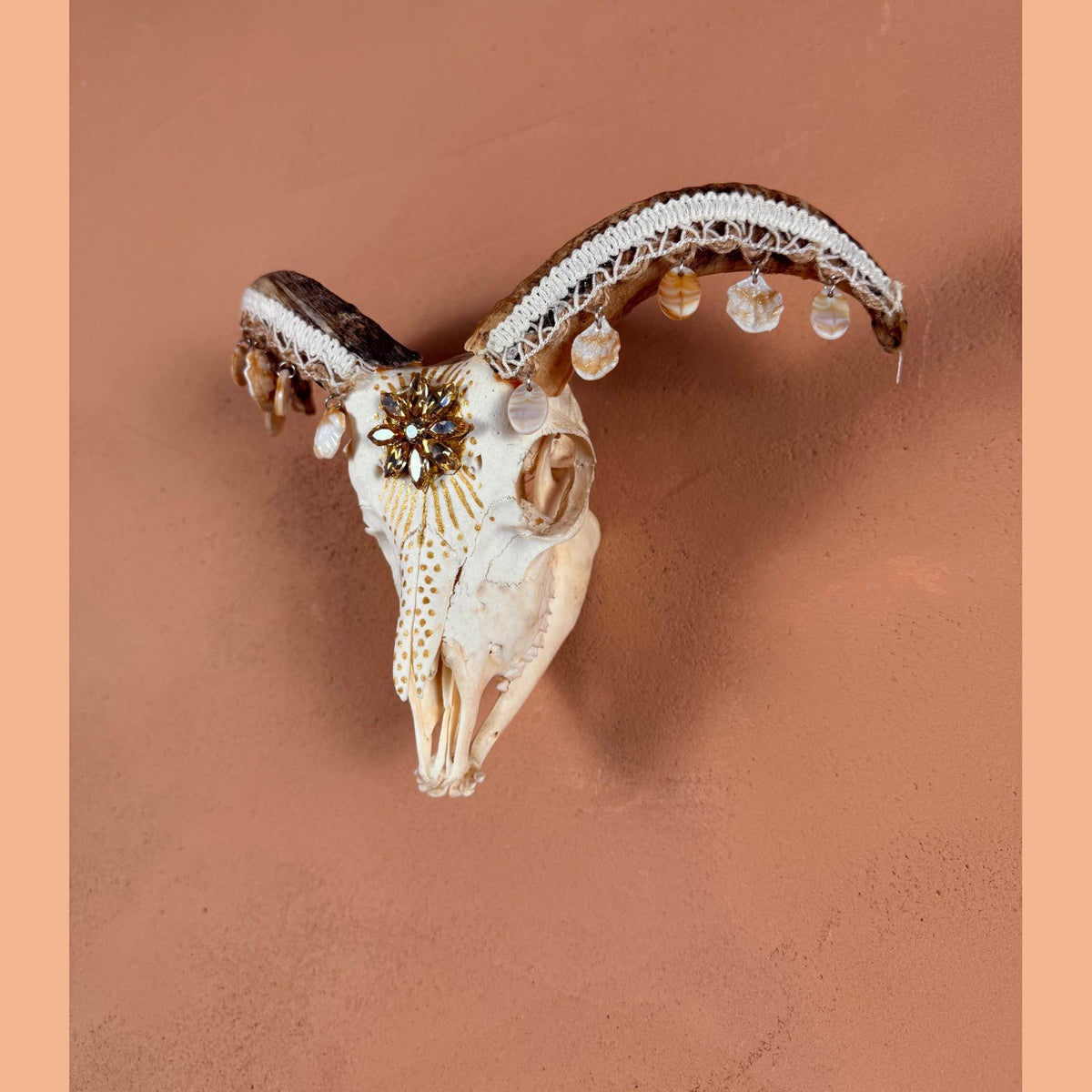 White skull