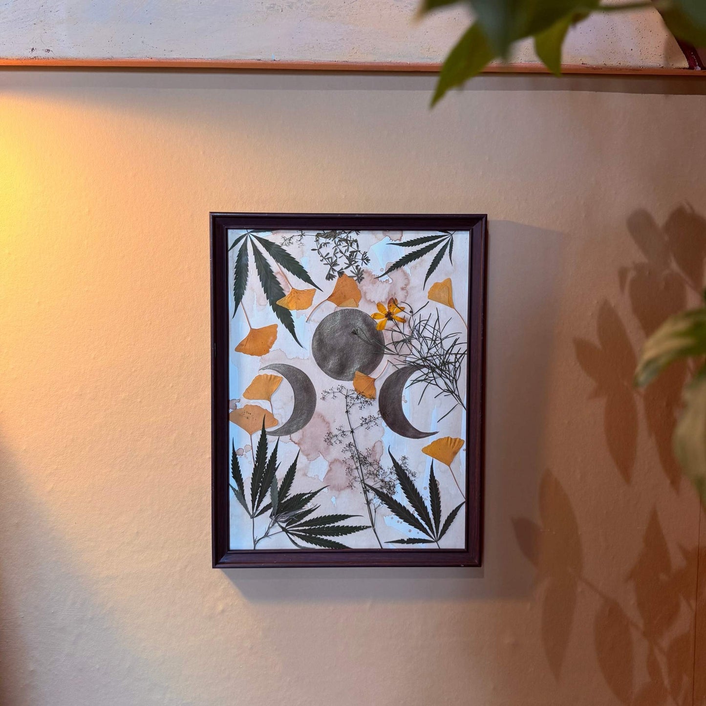 Dried leaves & moons