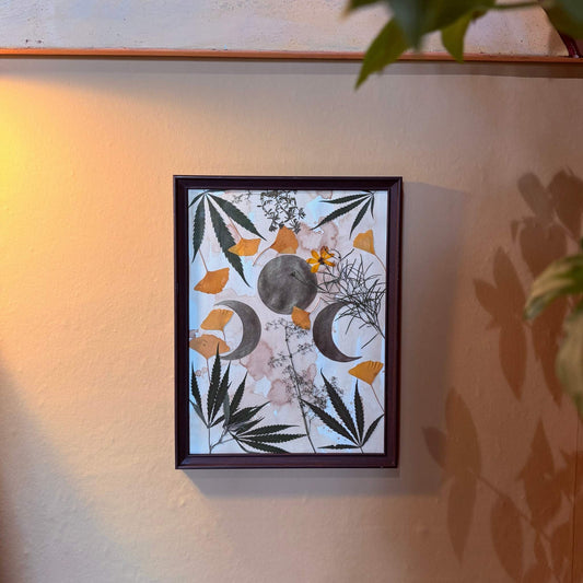 Dried leaves & moons