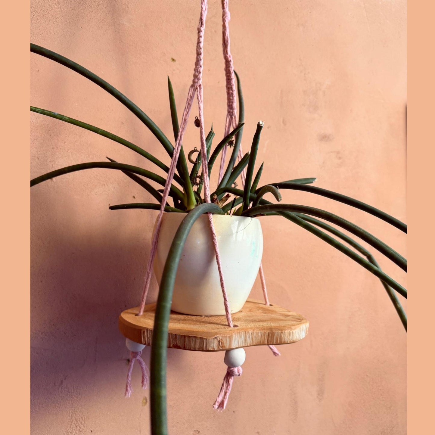 Macrame plant hanger
