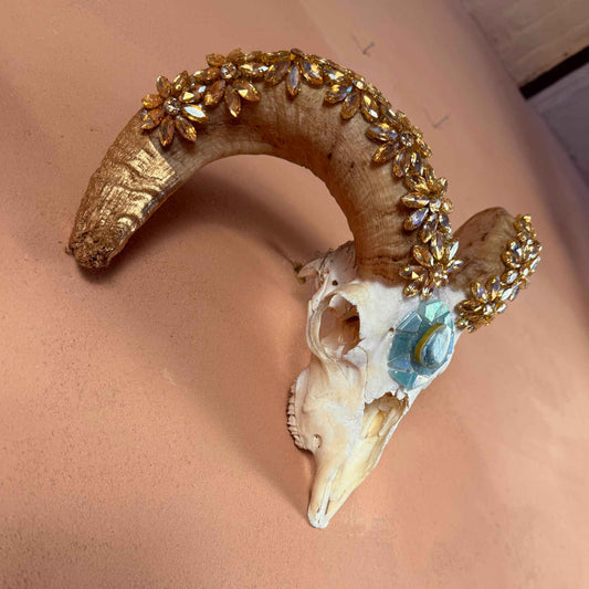Diamond skull