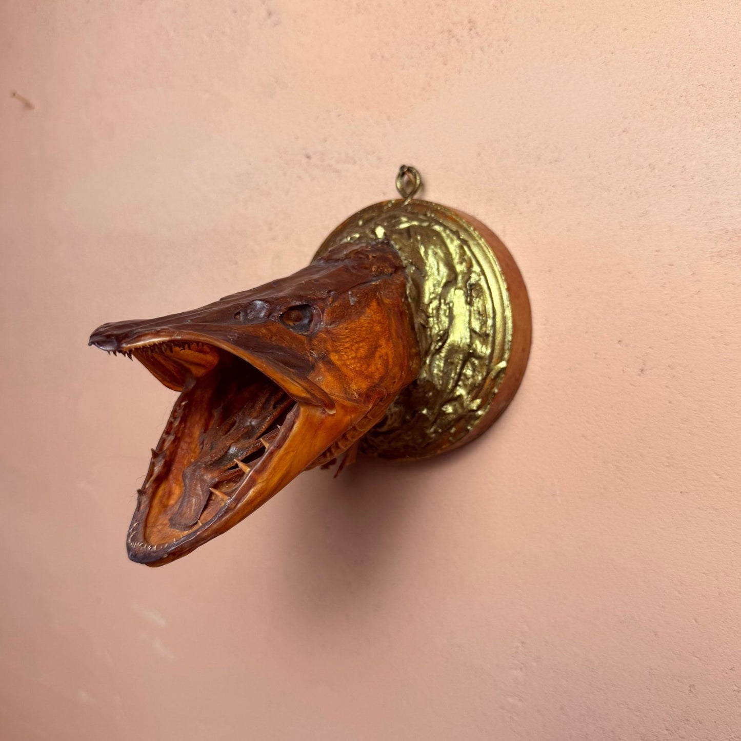 Fish head