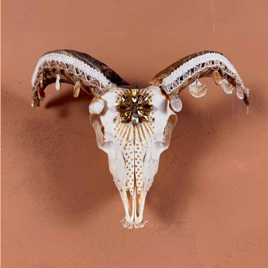 White skull